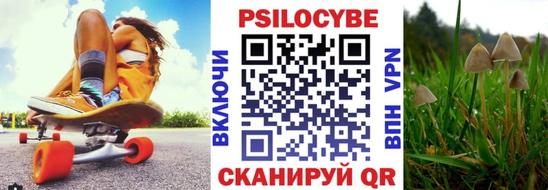 купить наркотик  Яблоновский  Псилоцибиновые грибы GOLDEN TEACHER 